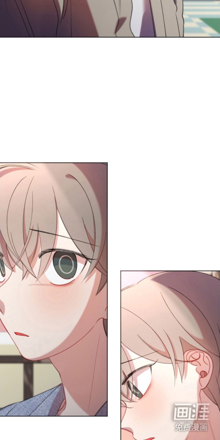 第43章：支持