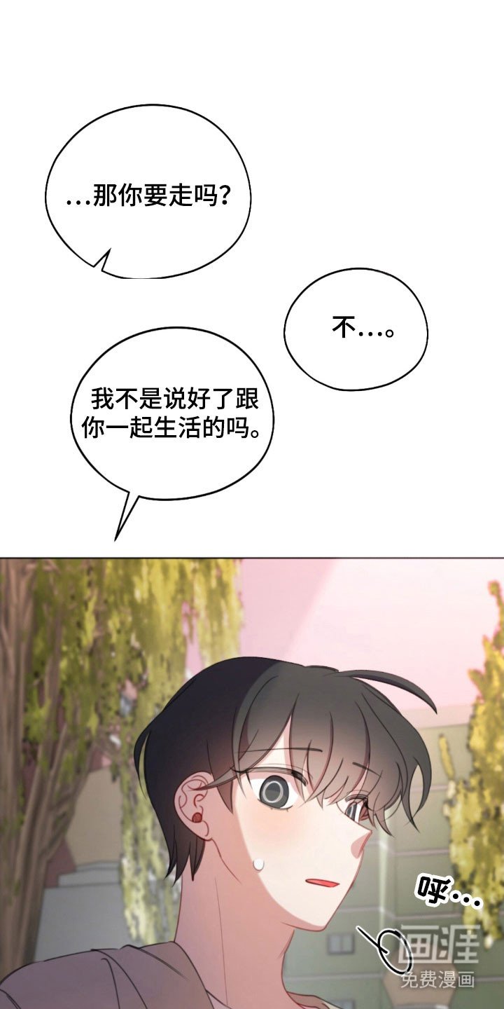 第43章：支持