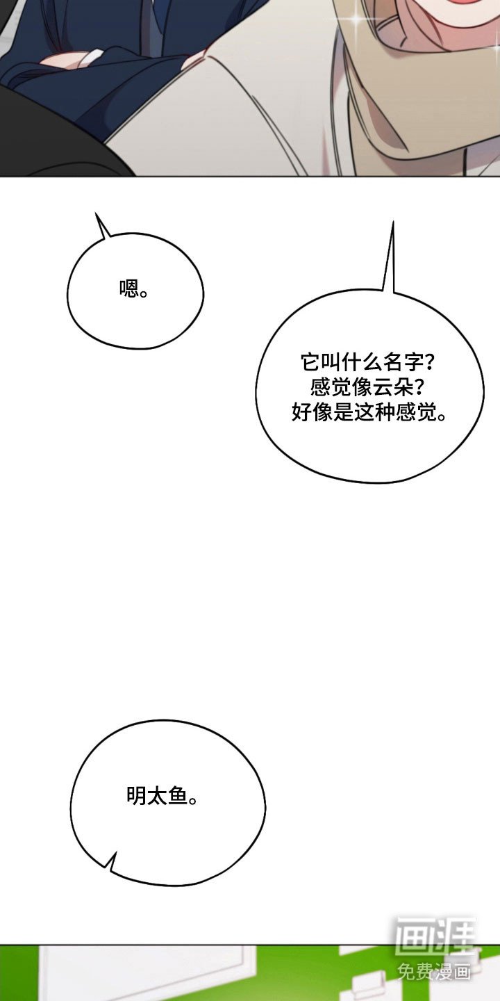 第51章：明太鱼
