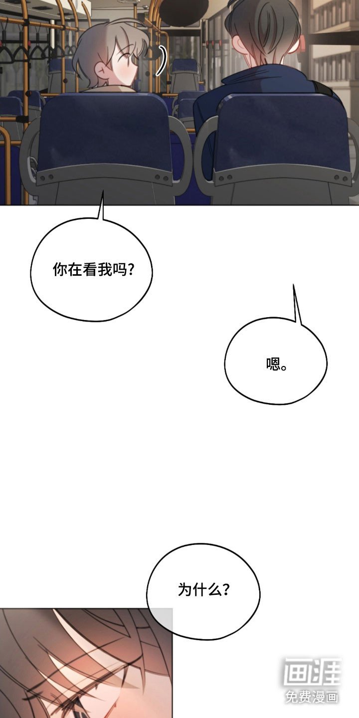 第52章：别的事