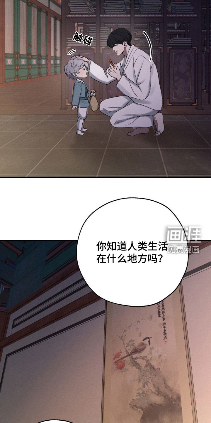 第14章：赌一把
