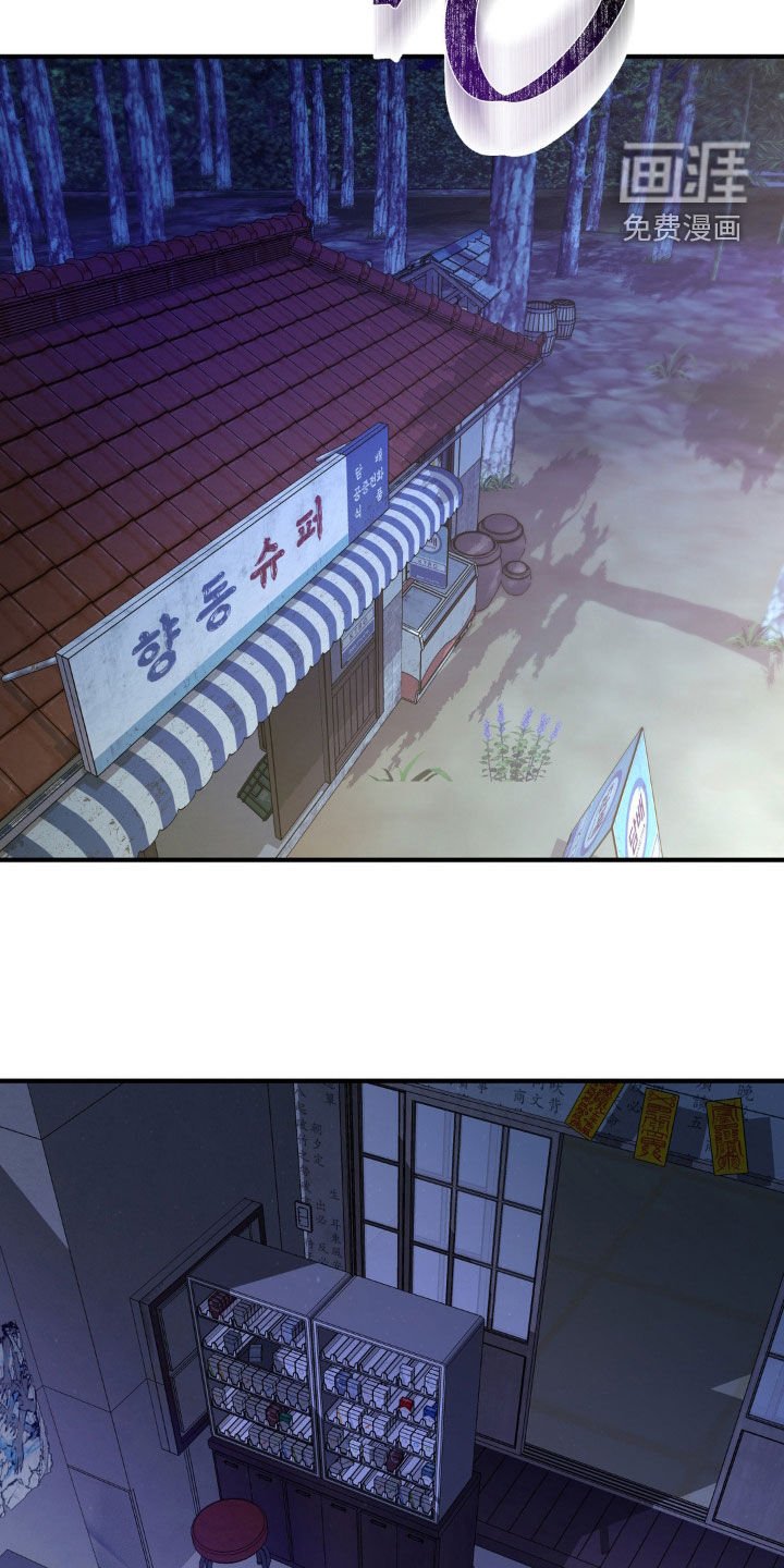 第28章：回来了