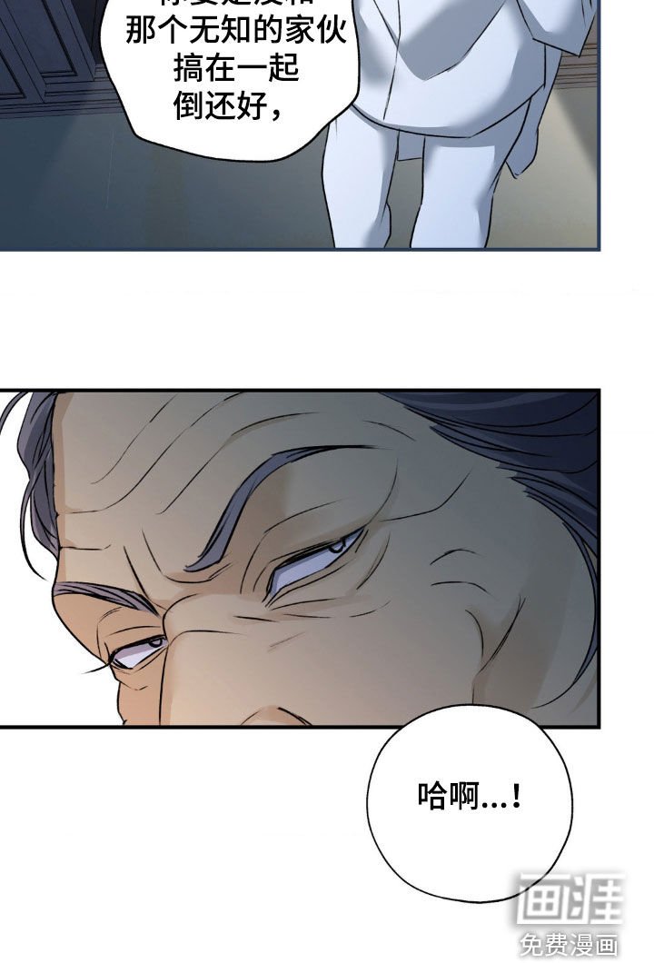 第28章：回来了