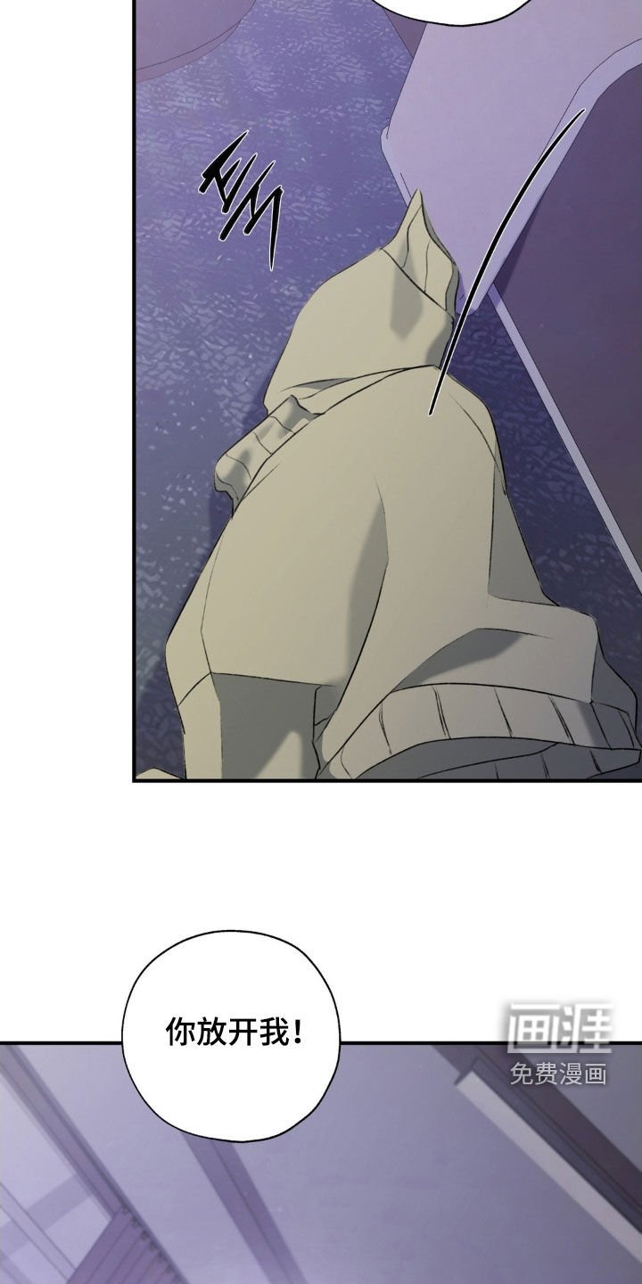 第31章：护身符
