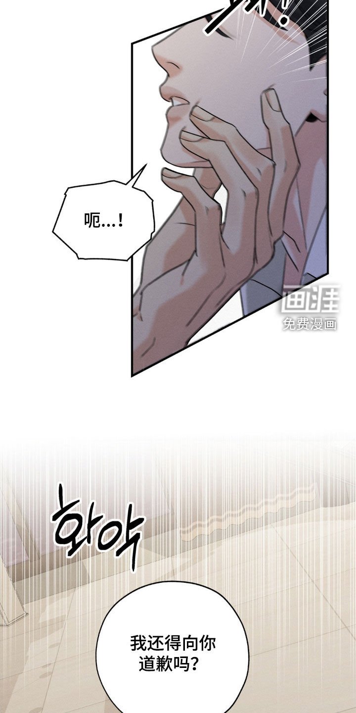 第33章：解释吧
