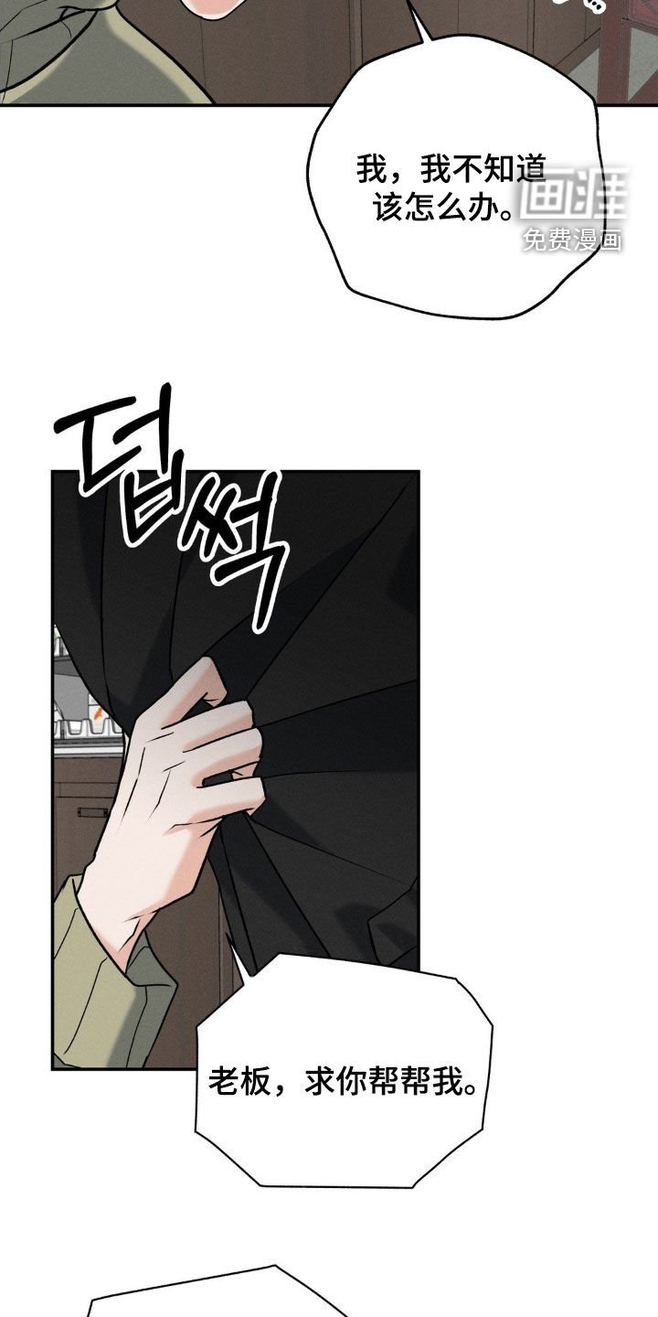 第37章：同情