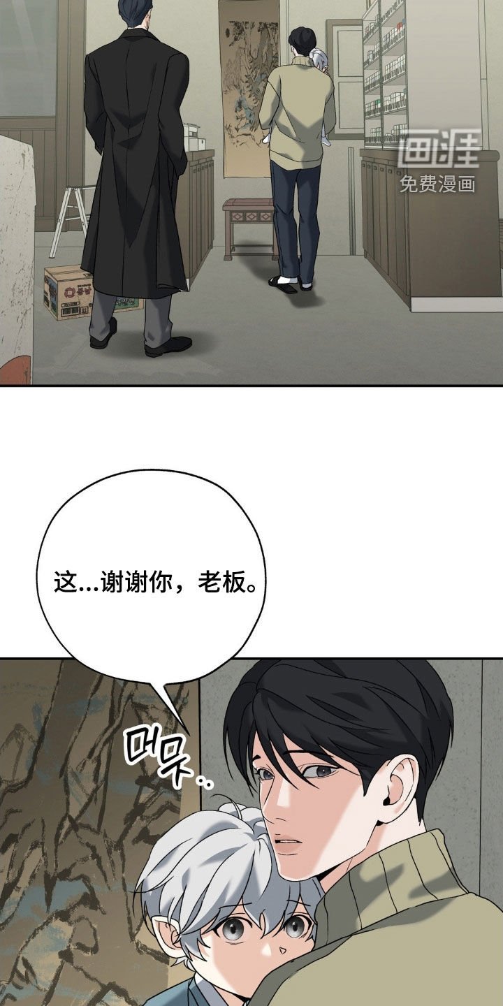 第37章：同情