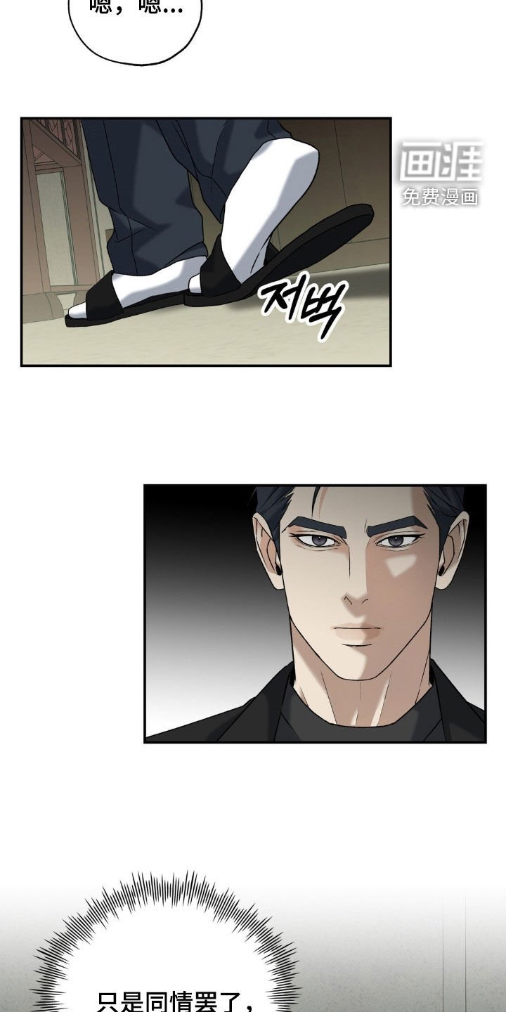 第37章：同情