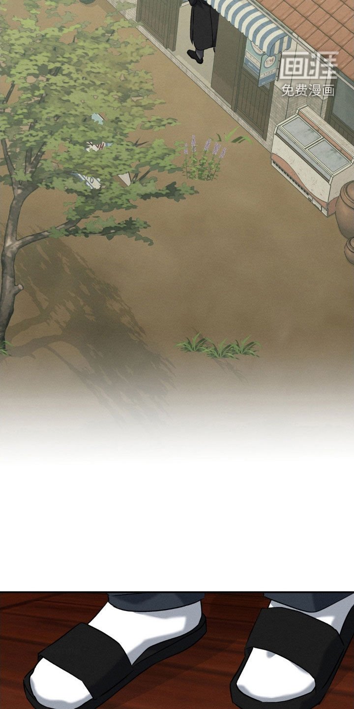 第38章：回来了