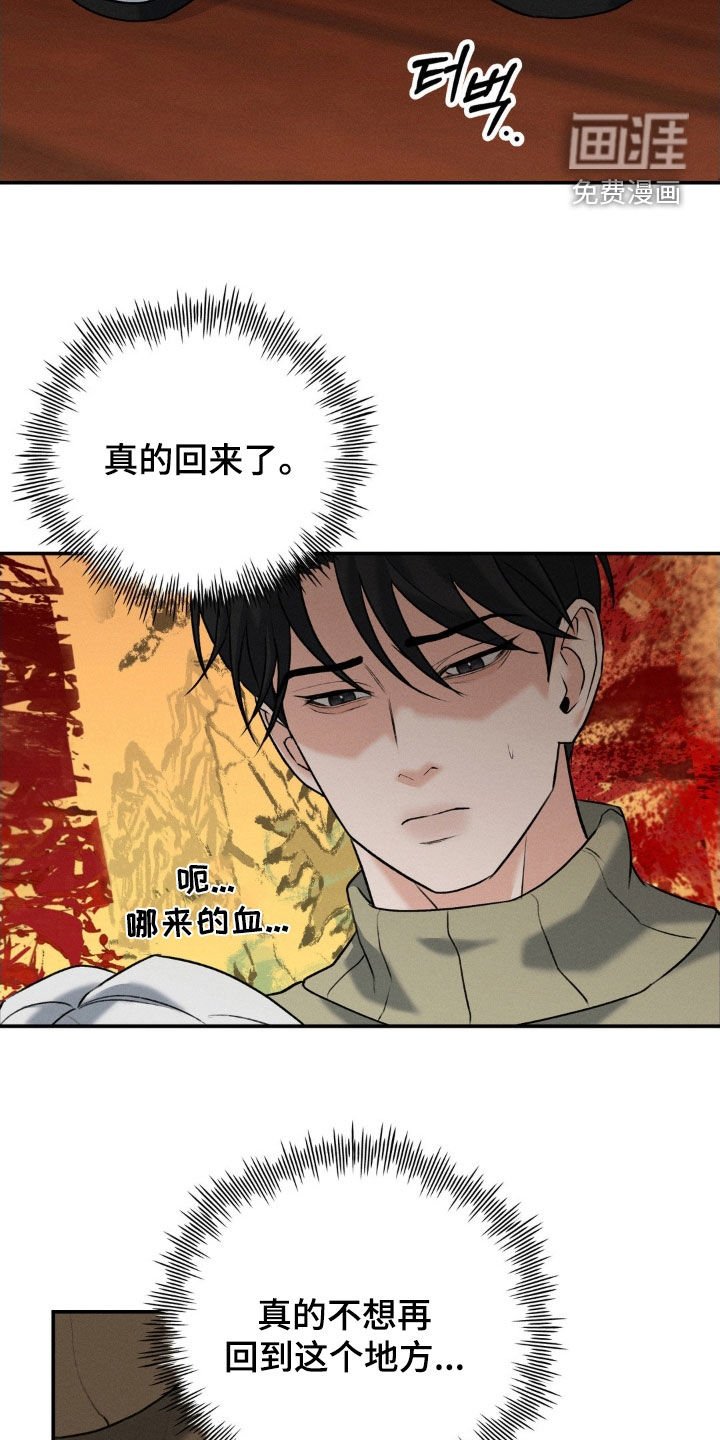 第38章：回来了