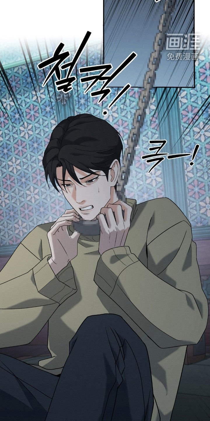 第38章：回来了