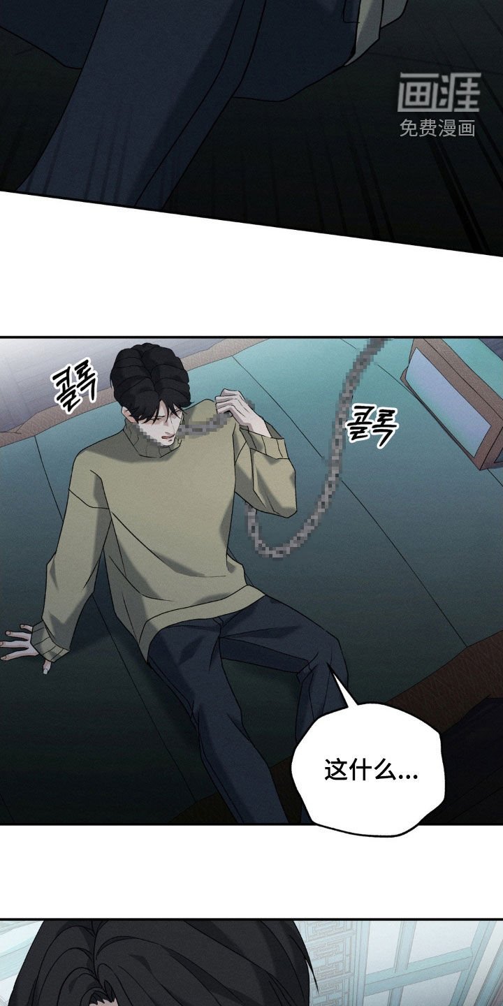 第38章：回来了