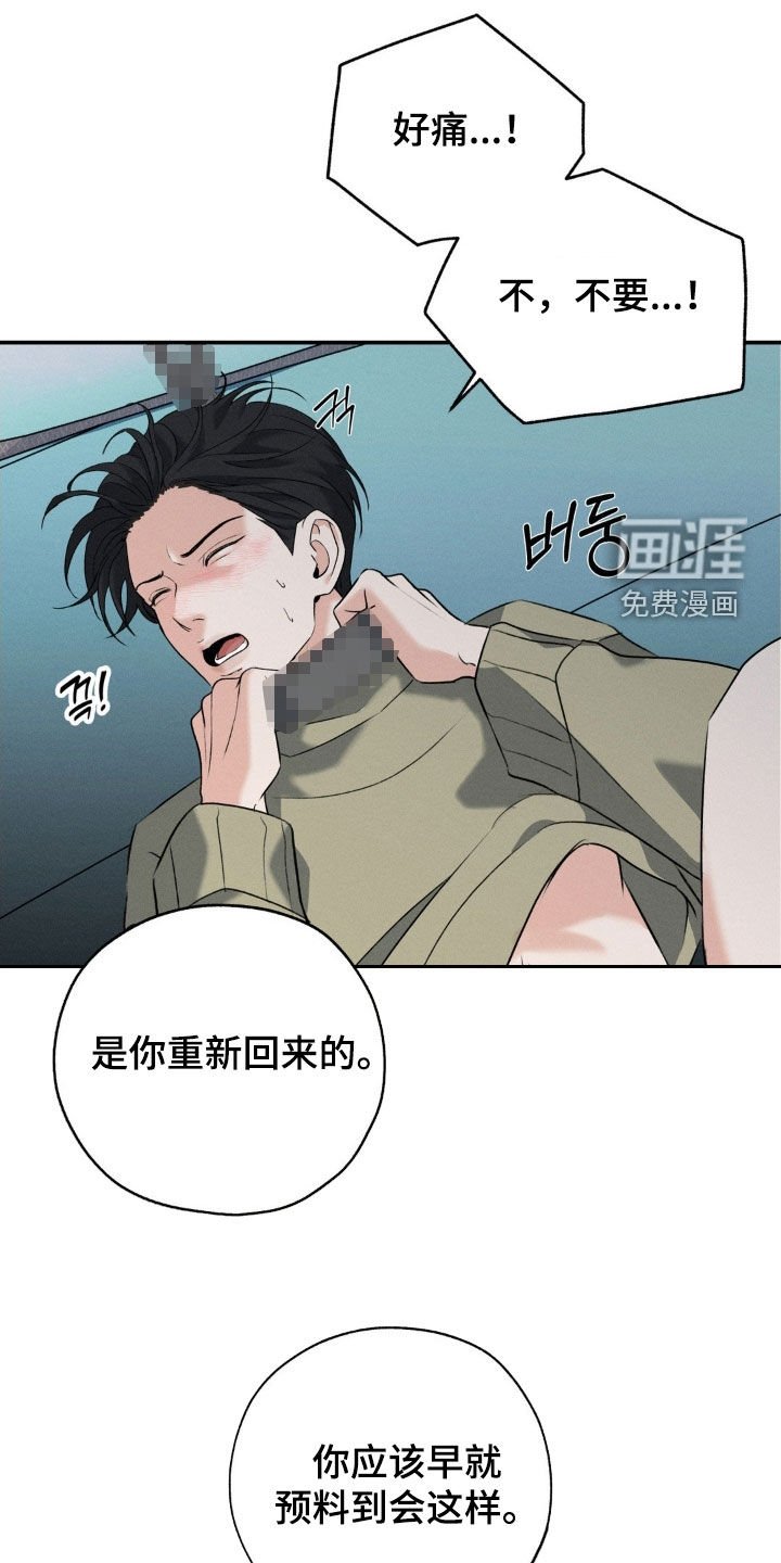 第38章：回来了