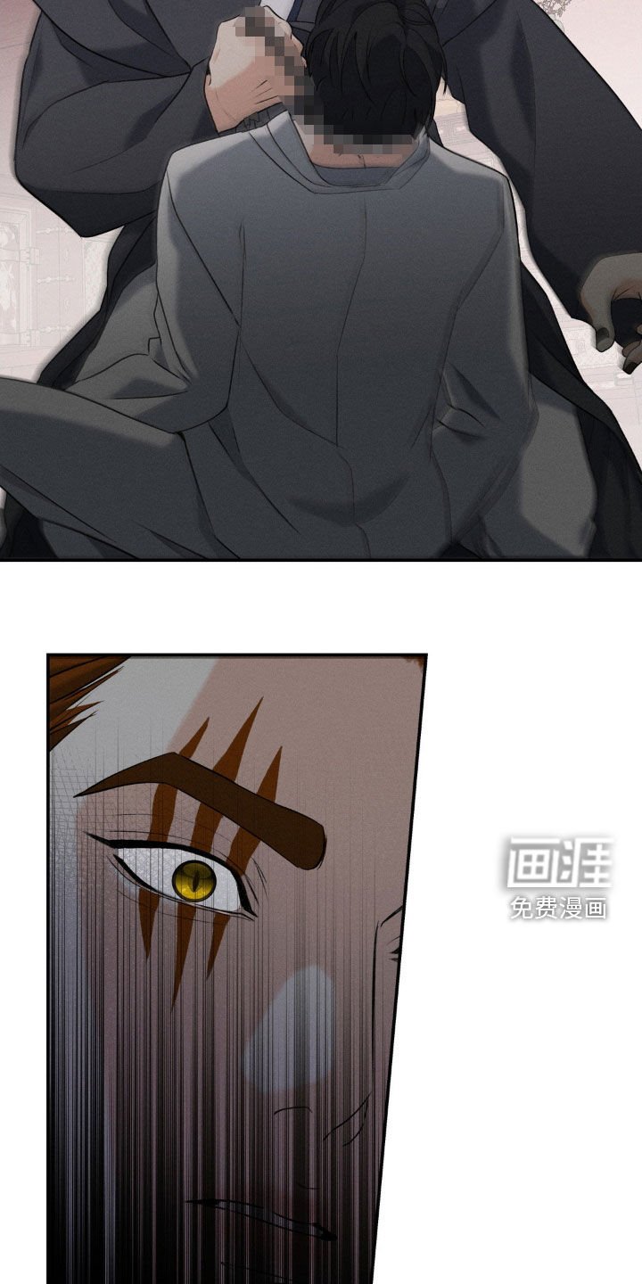 第40章：感情