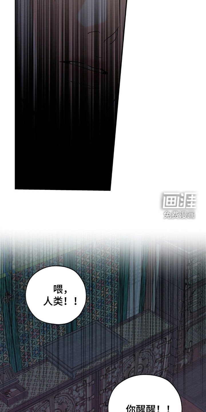 第41章：阳气不足