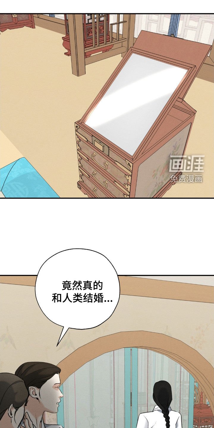 第44章：新婚