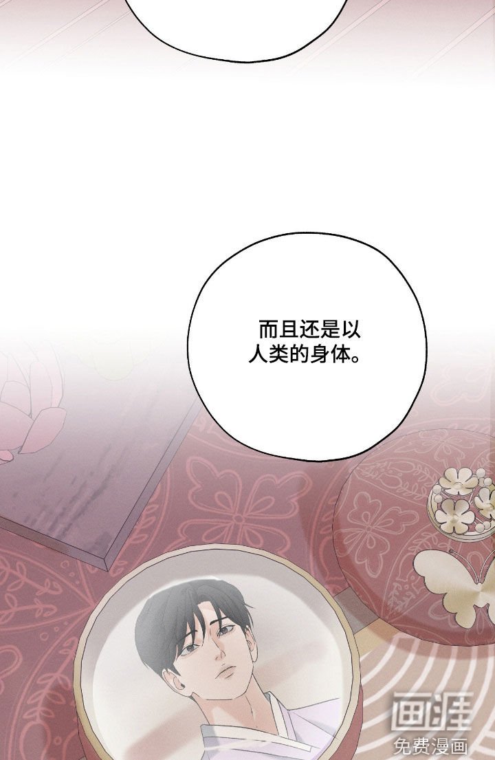 第51章：你这个坏蛋