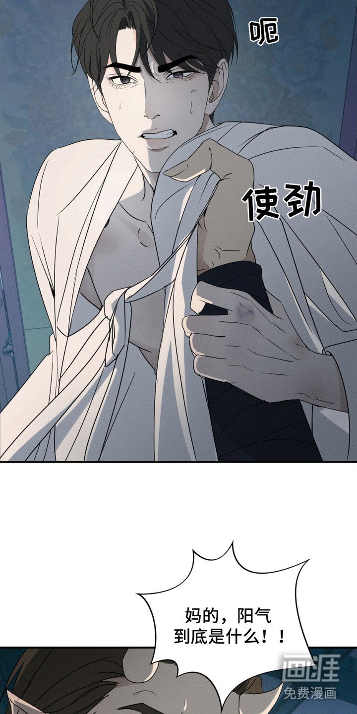 第8章：阳气
