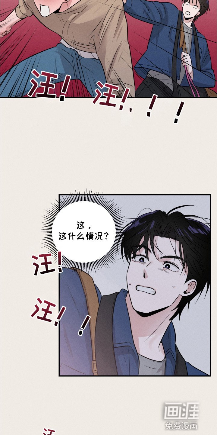 第15章：救人