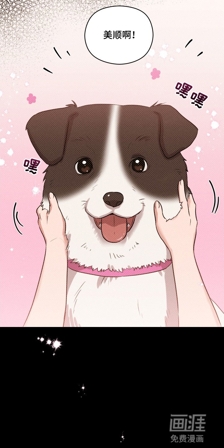 第16章：带他回家