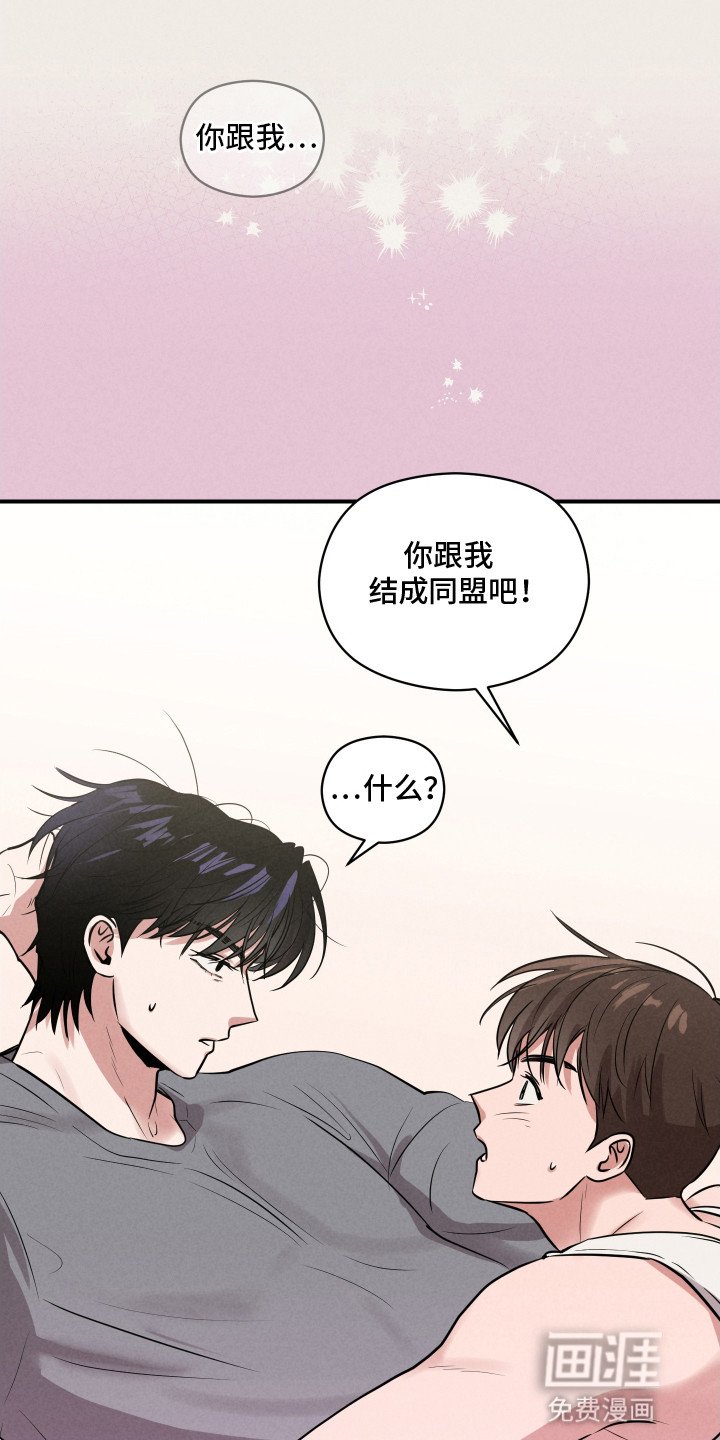 第19章：合作