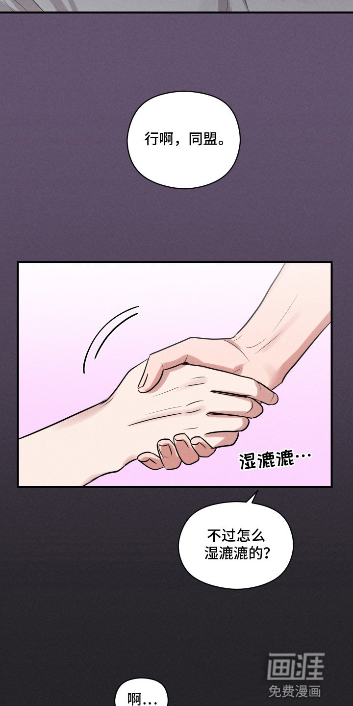 第19章：合作