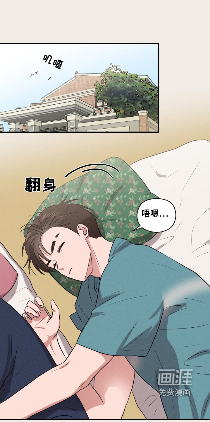 第41章：任何感情
