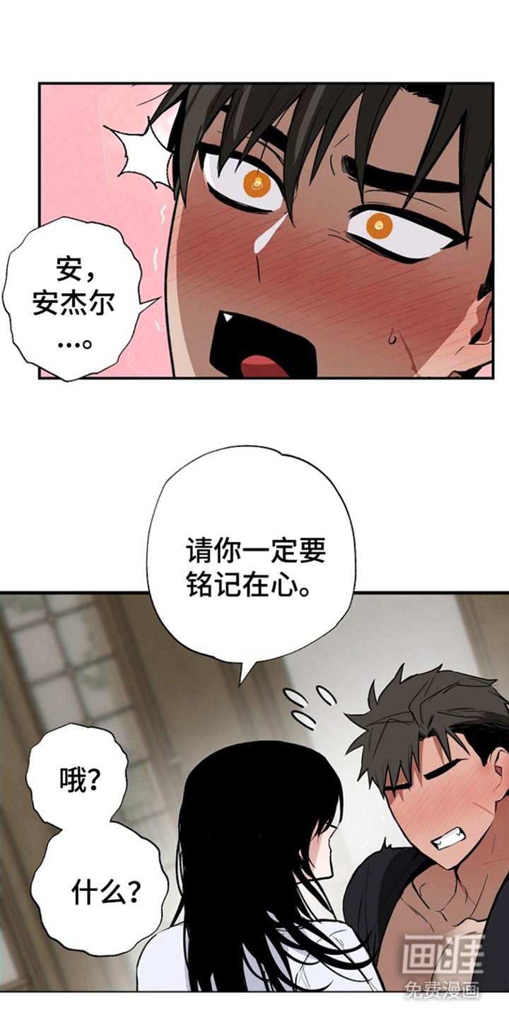 第1章：救世勇士