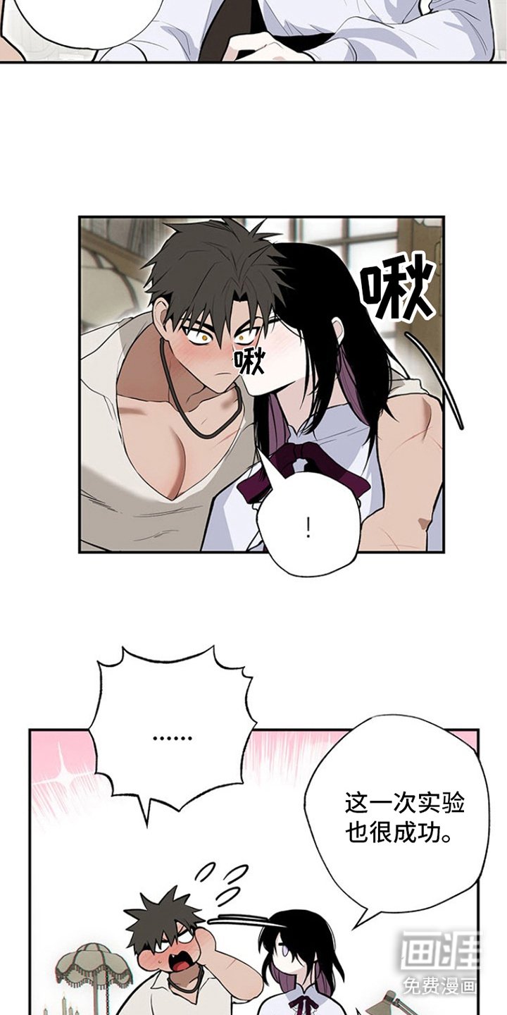 第11章：试一试