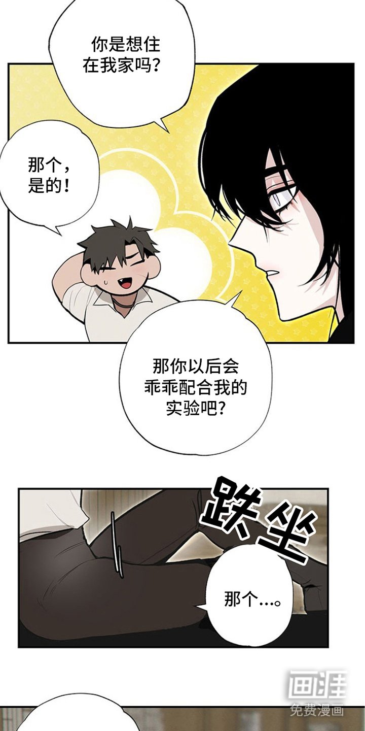 第11章：试一试