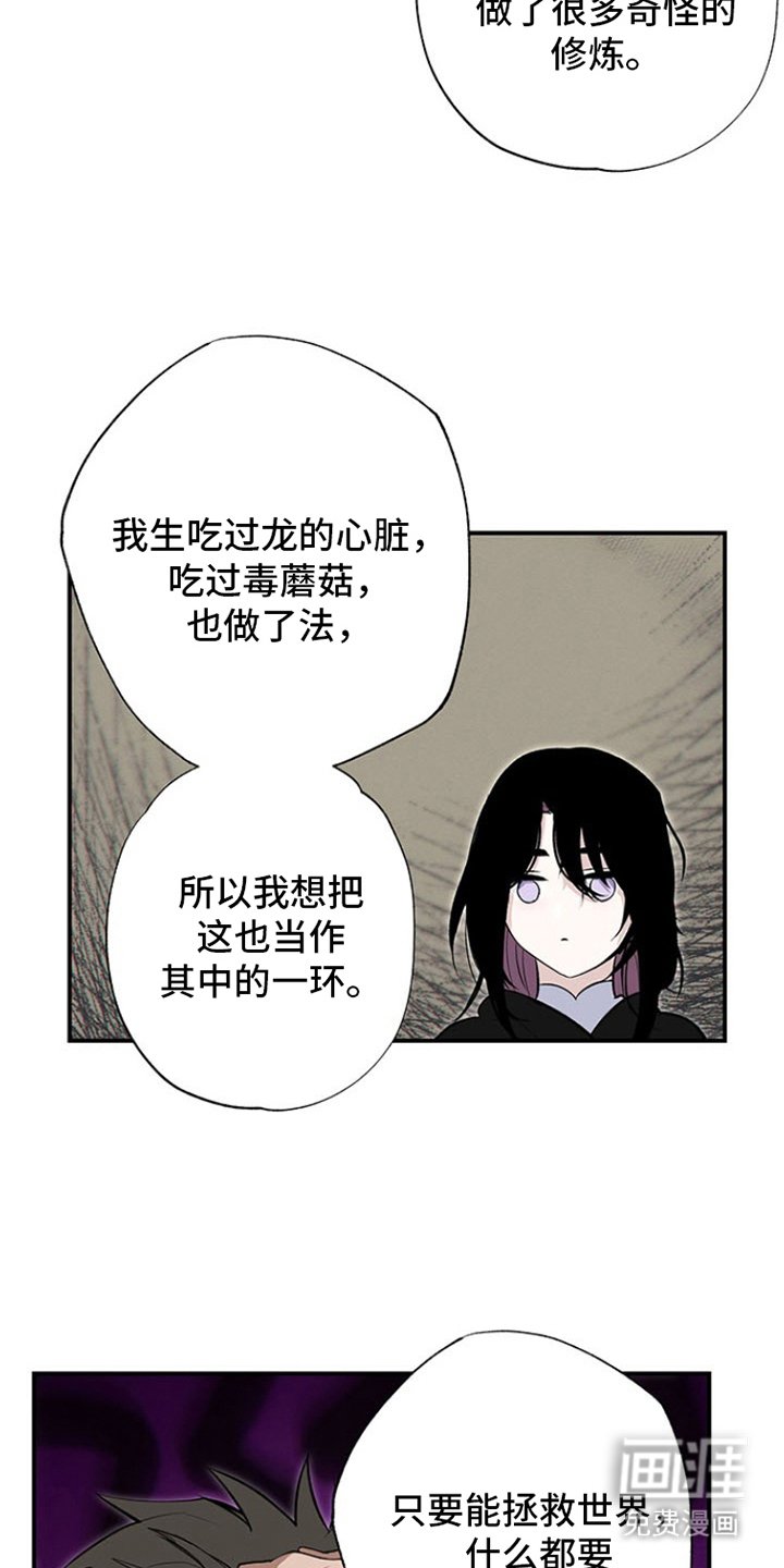 第11章：试一试