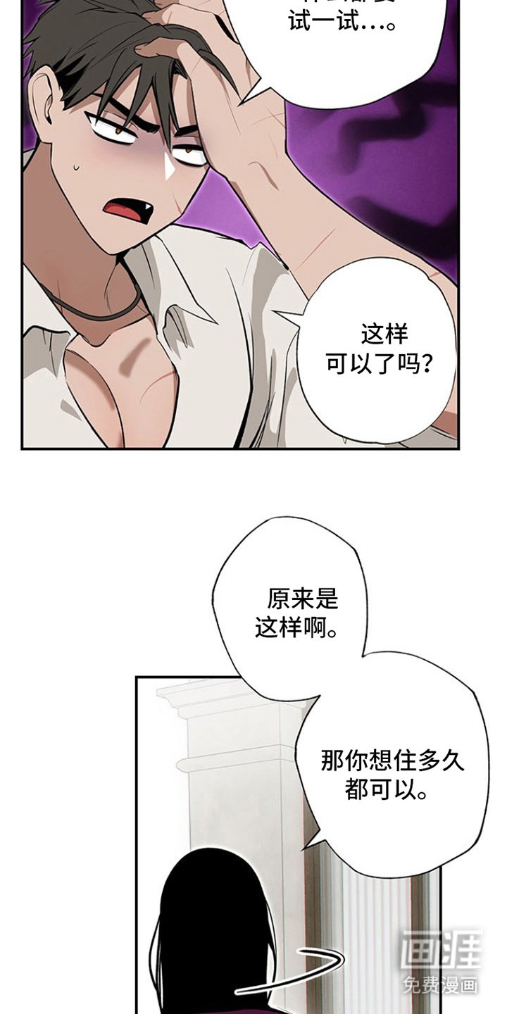 第11章：试一试