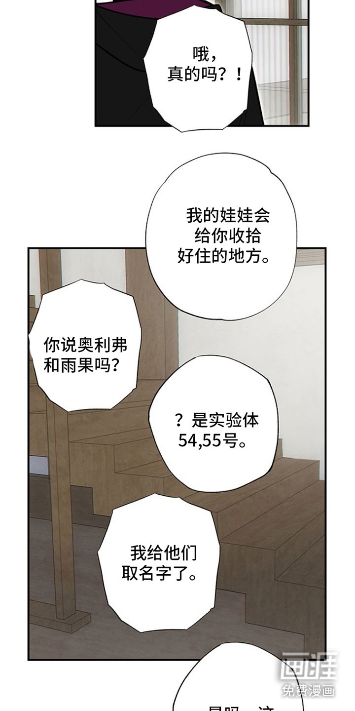 第11章：试一试