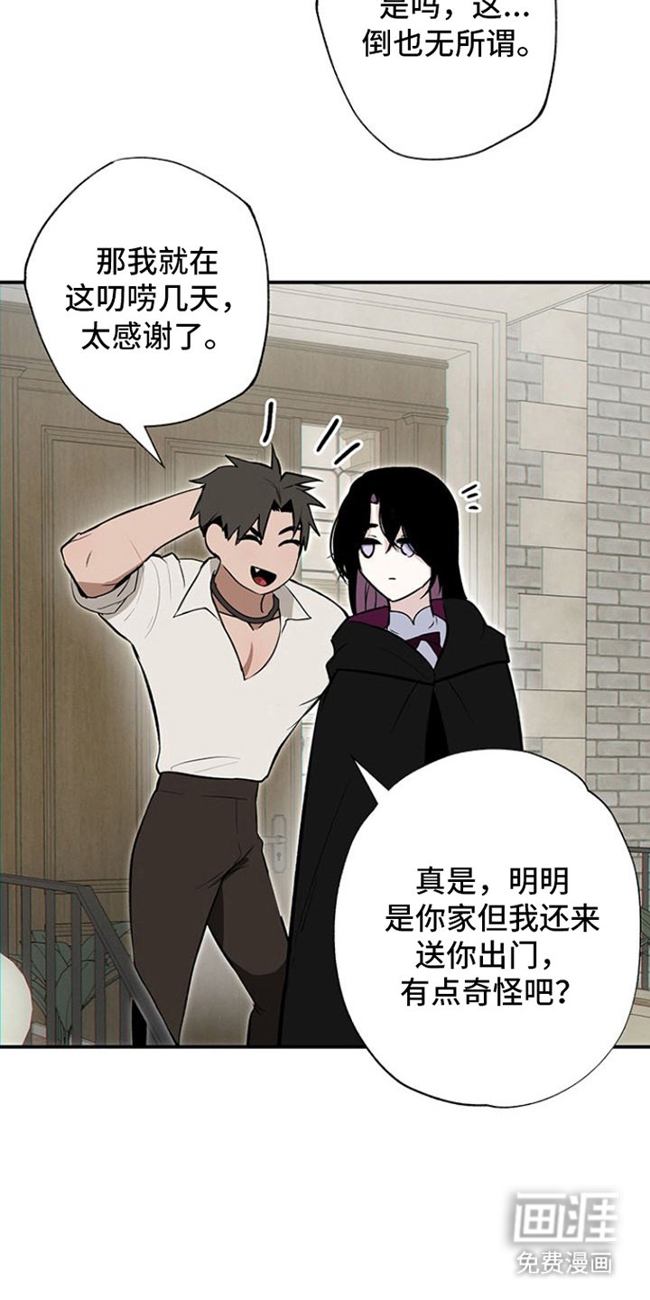 第11章：试一试