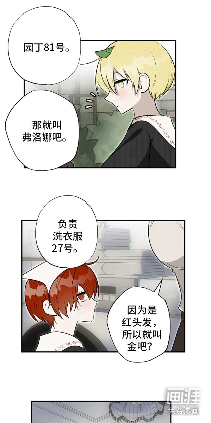 第13章：测试