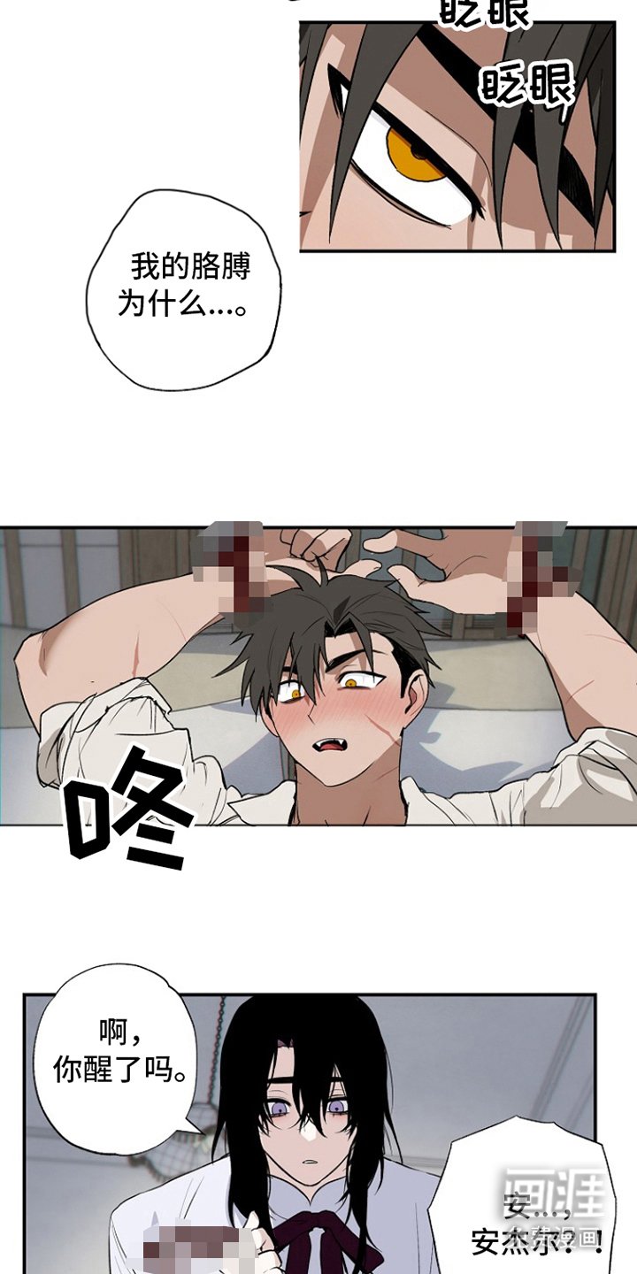 第13章：测试