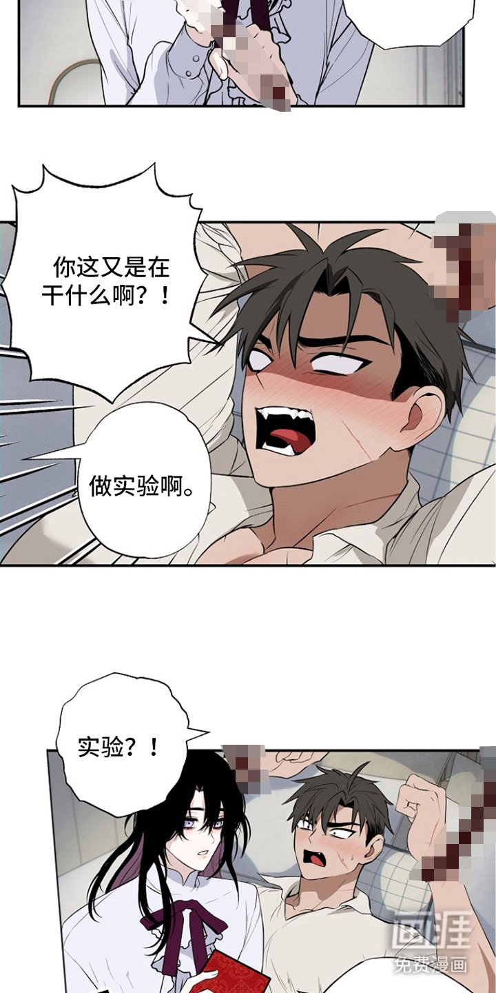 第13章：测试