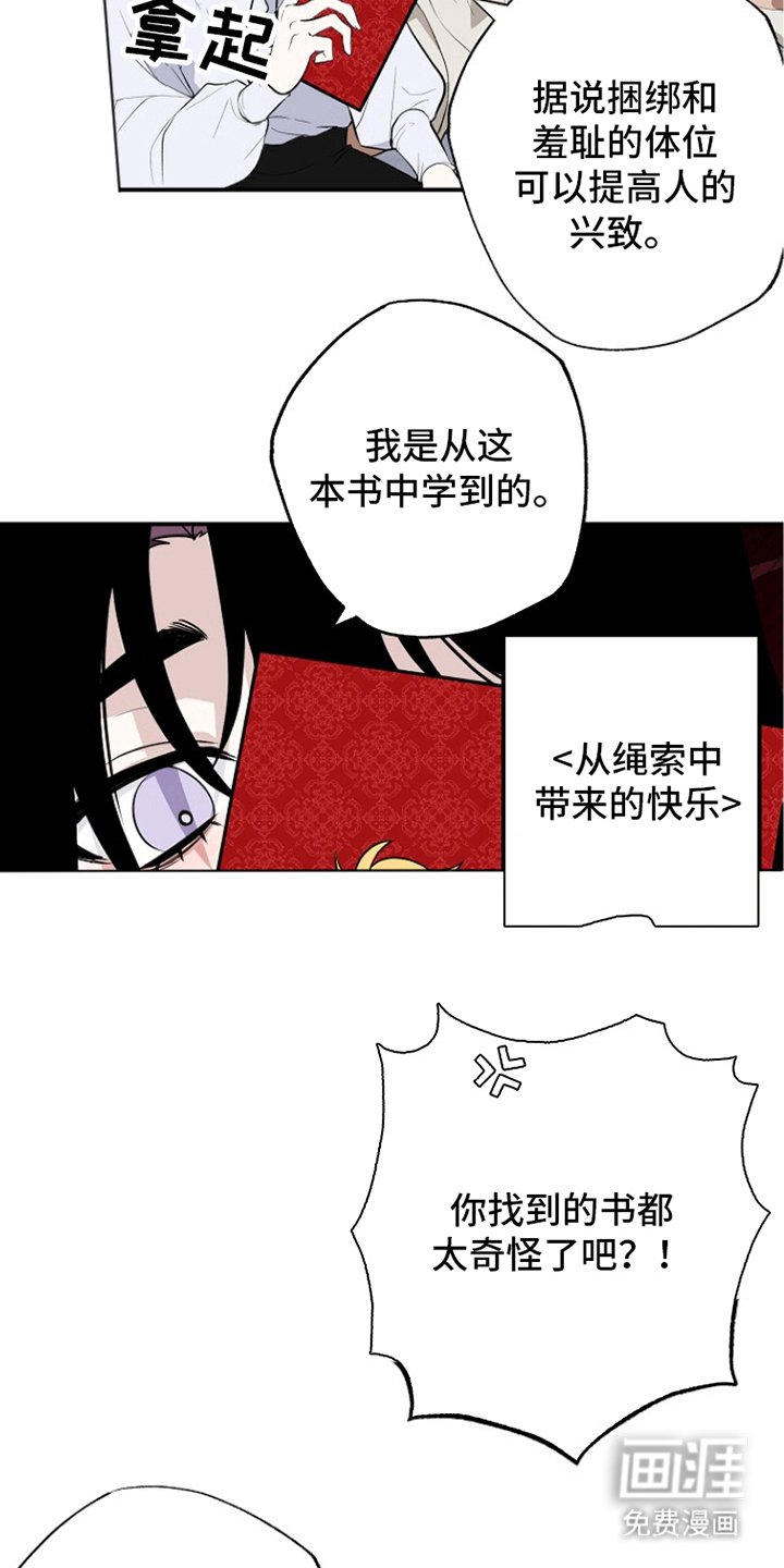 第13章：测试