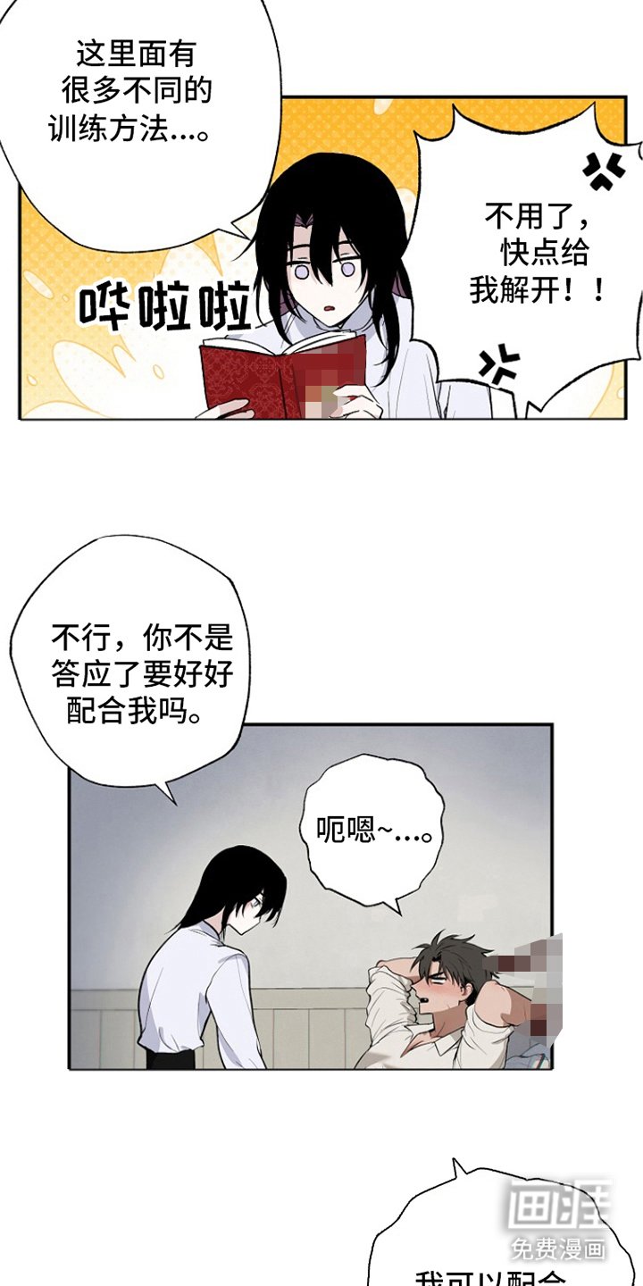 第13章：测试