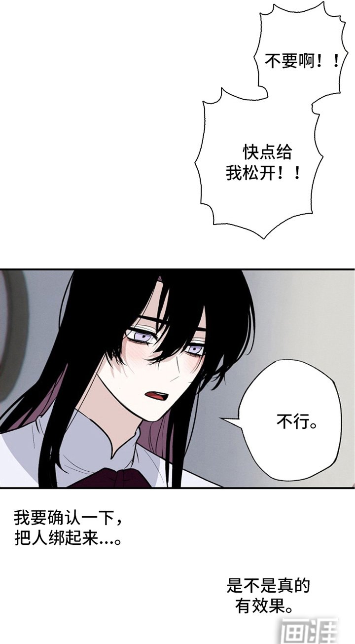 第13章：测试