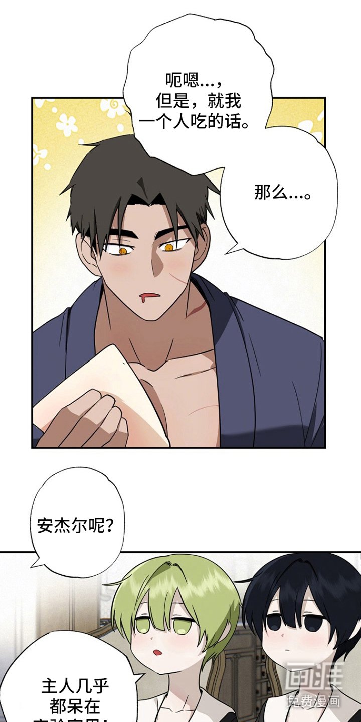 第17章：开始实验