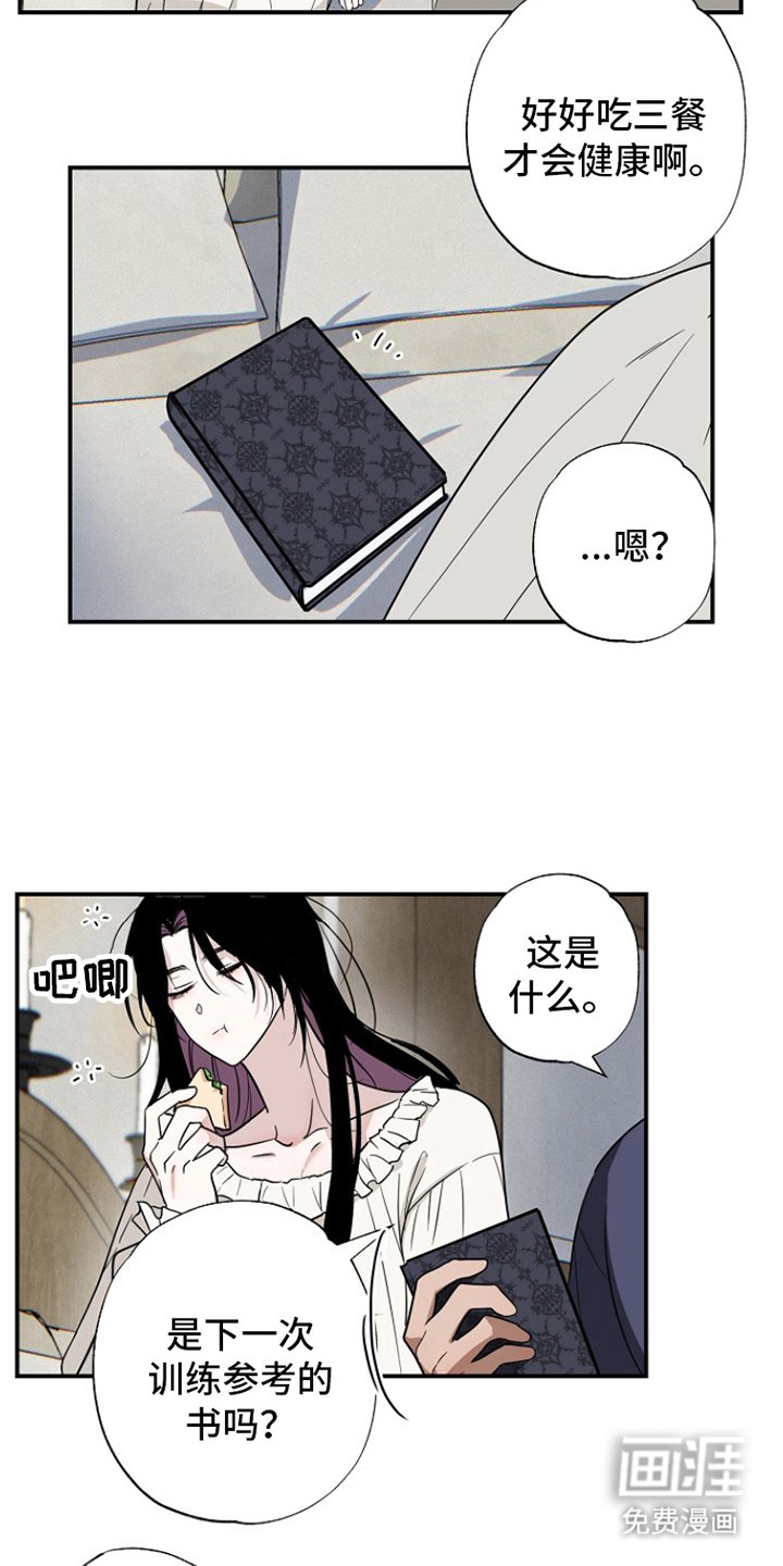 第17章：开始实验