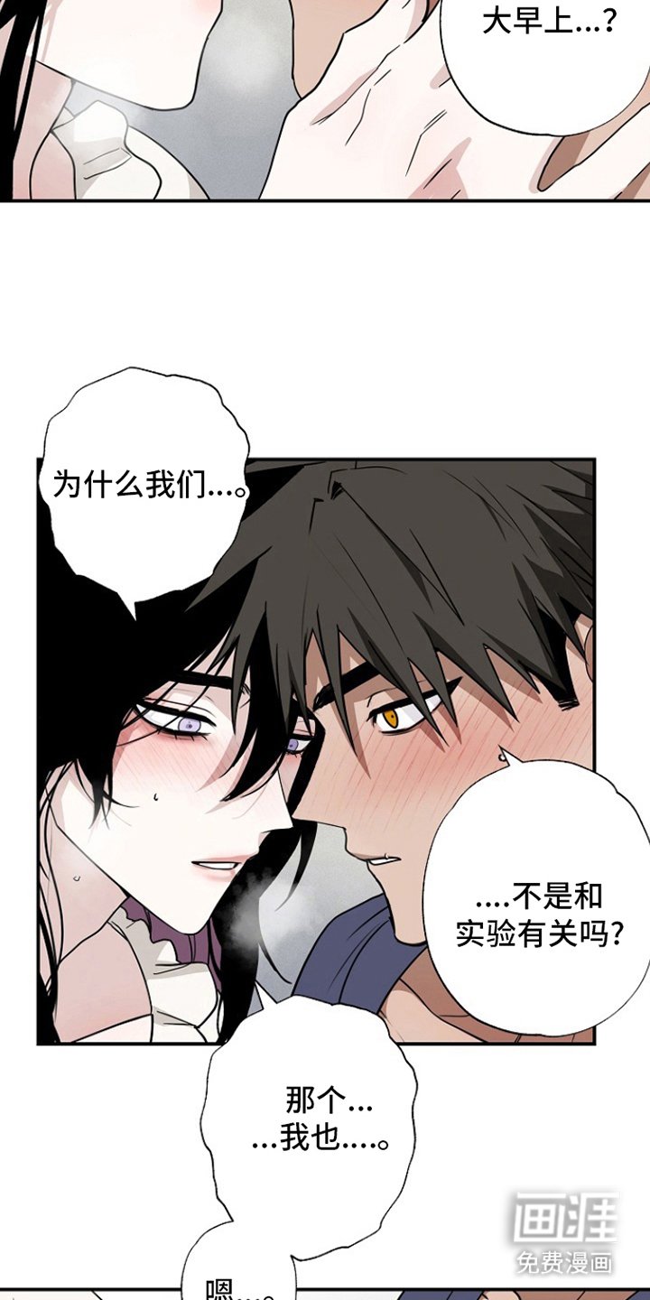 第17章：开始实验