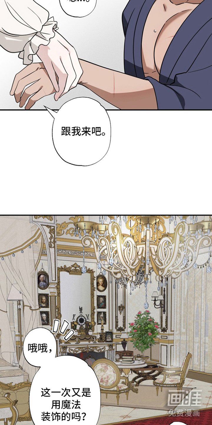 第17章：开始实验