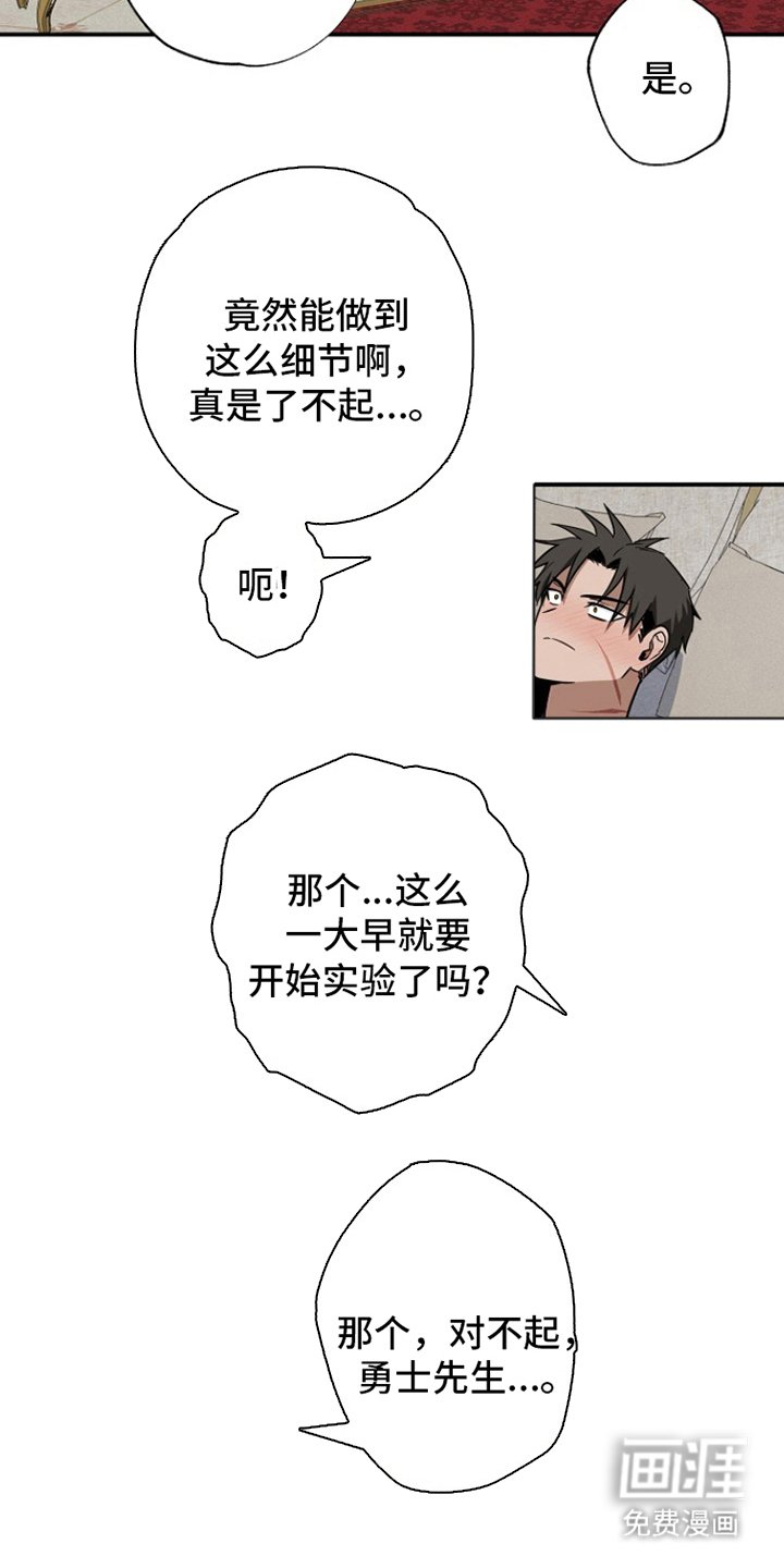 第17章：开始实验