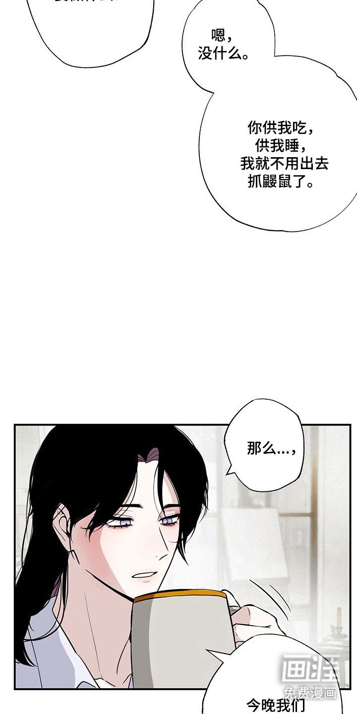 第18章：危险