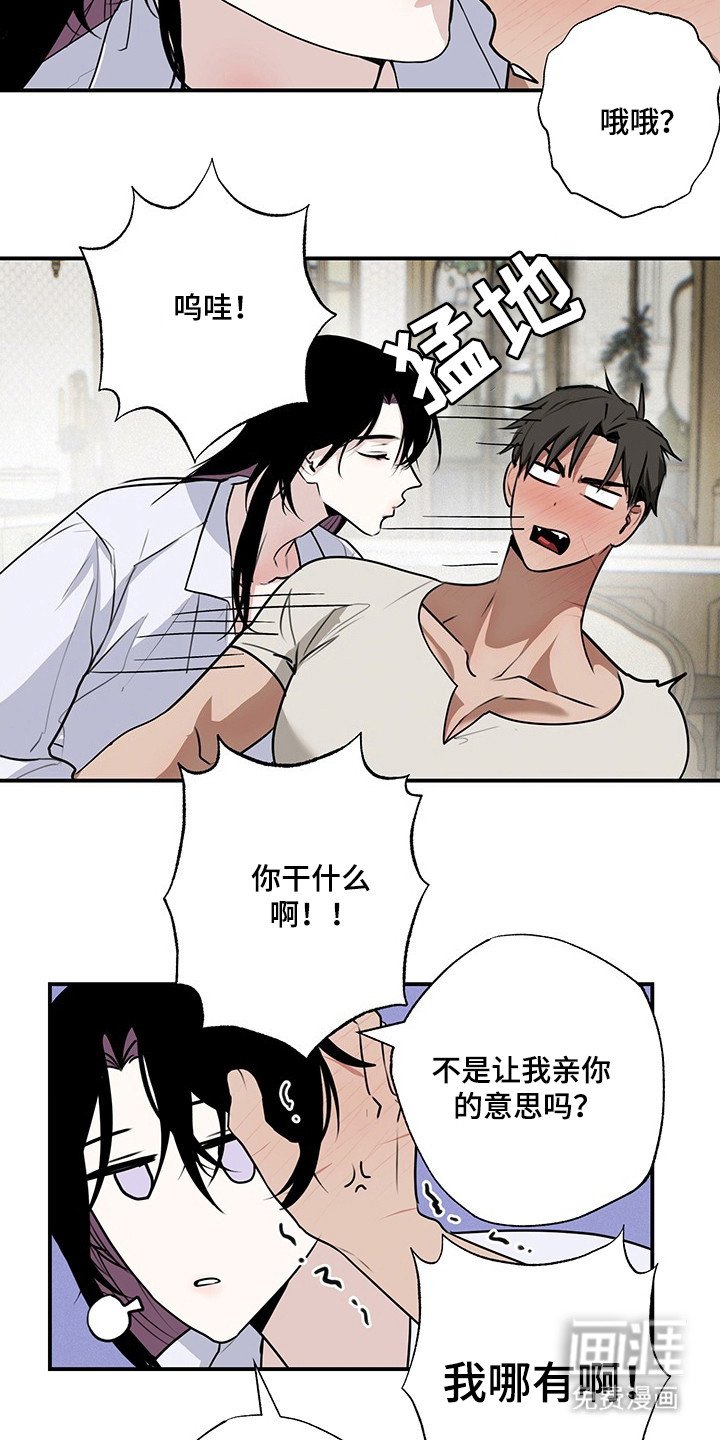 第19章：魔法娃娃