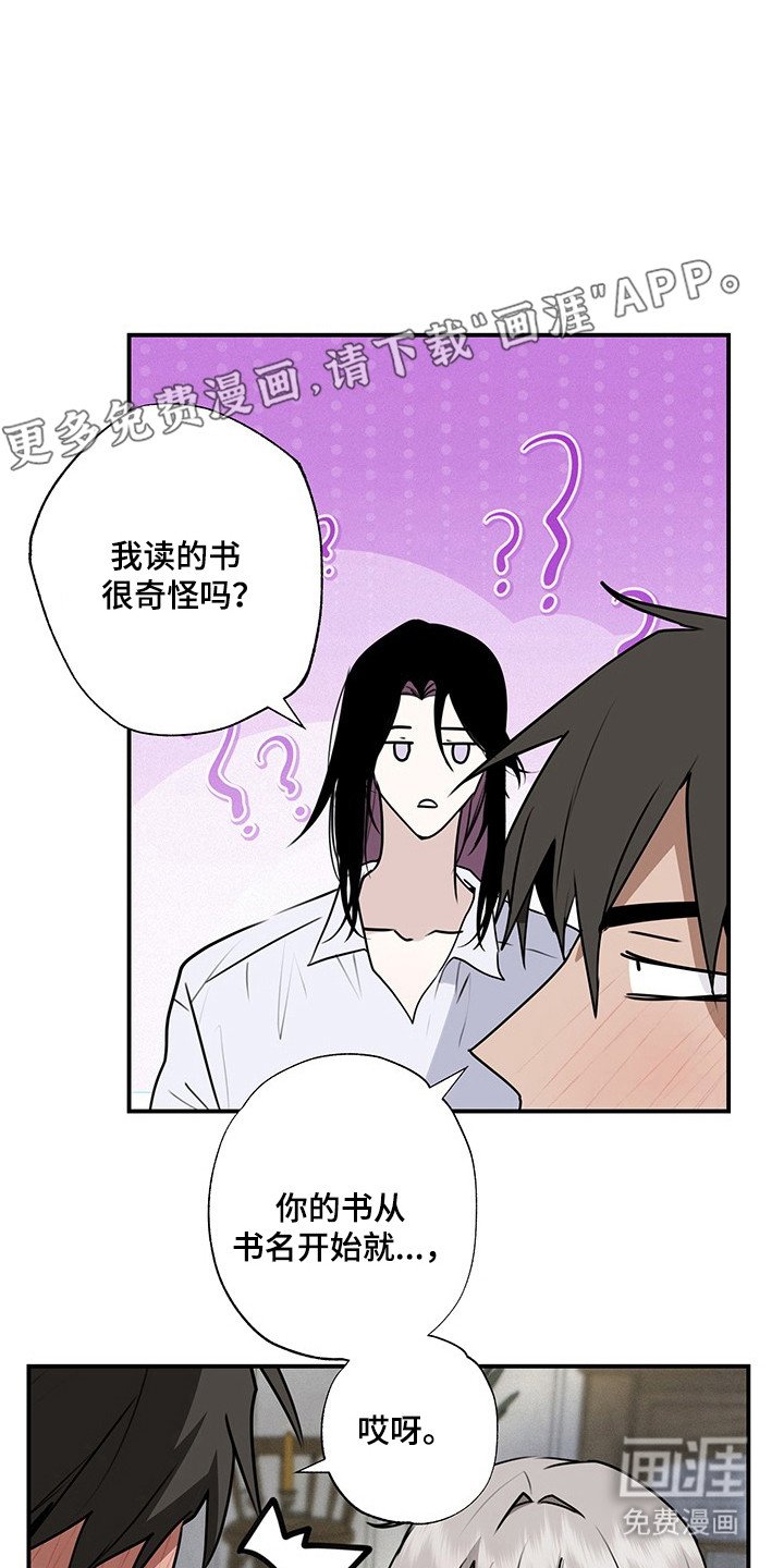 第19章：魔法娃娃