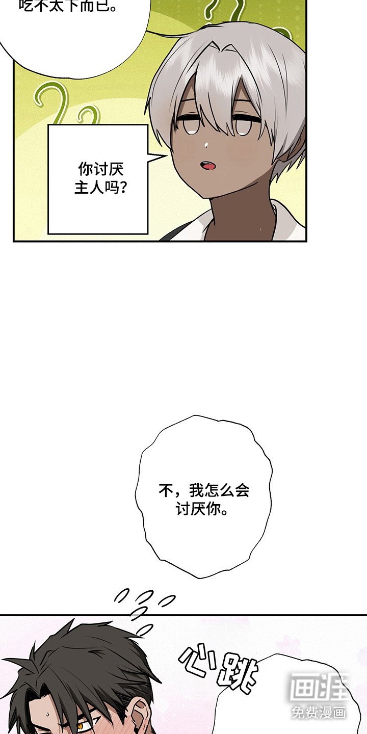 第19章：魔法娃娃