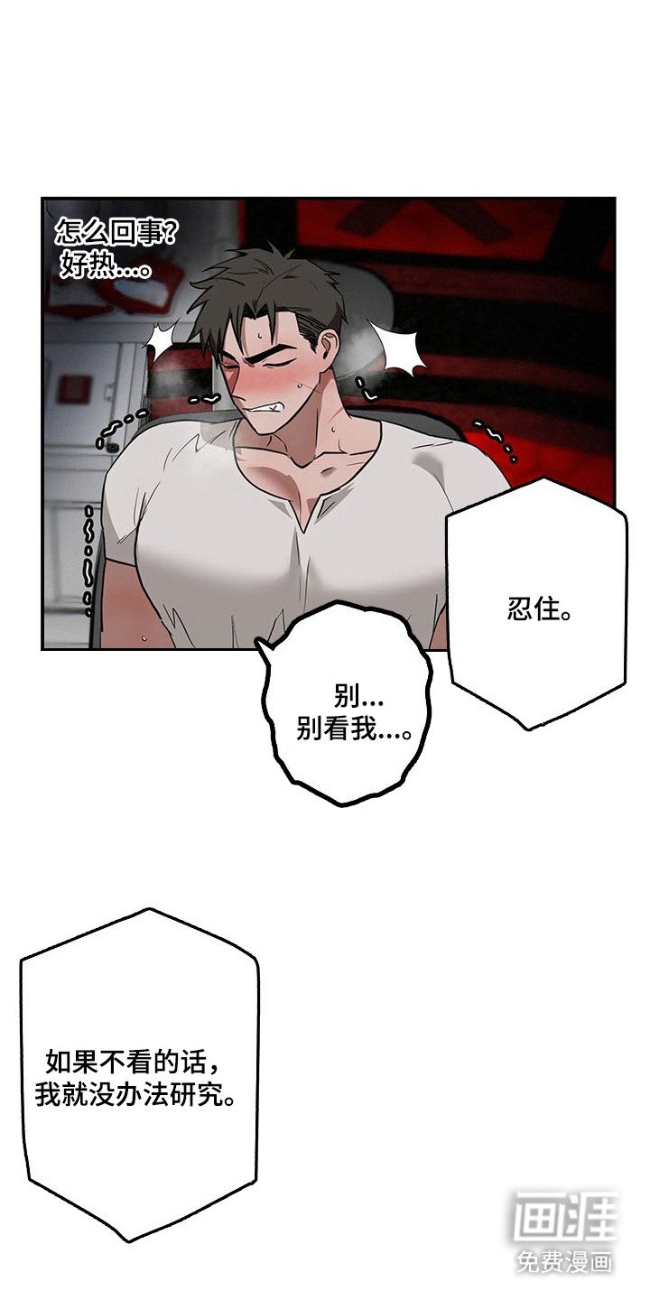 第22章：确认纹身